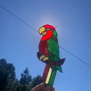 Parrot bird Mexico sun catcher stained glass handmade